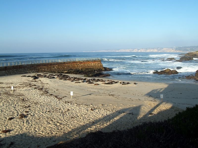 photo.jpg