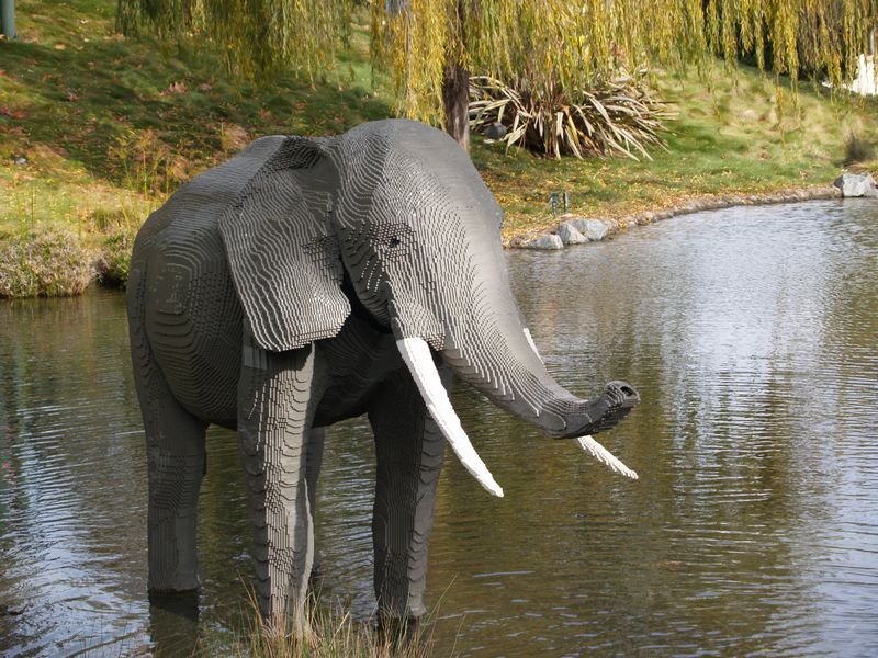 photo15.jpg