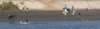 b3_small.jpg