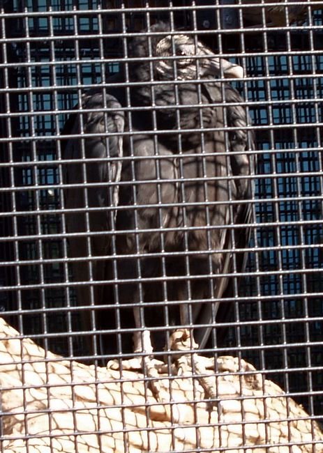 photo12.jpg