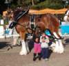photo301_small.jpg