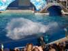 photo367_small.jpg