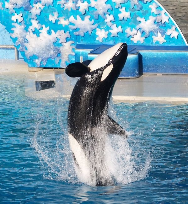 photo407.jpg