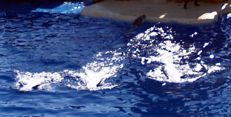 photo41.jpg