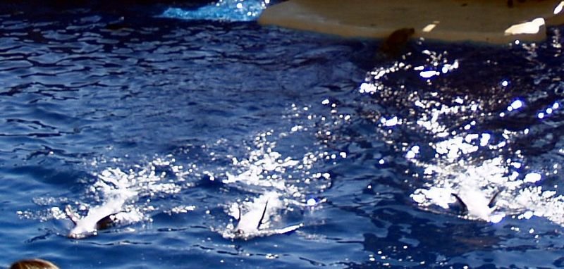 photo42.jpg