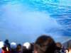 photo433_small.jpg