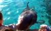 photo497_small.jpg