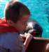 photo508_small.jpg