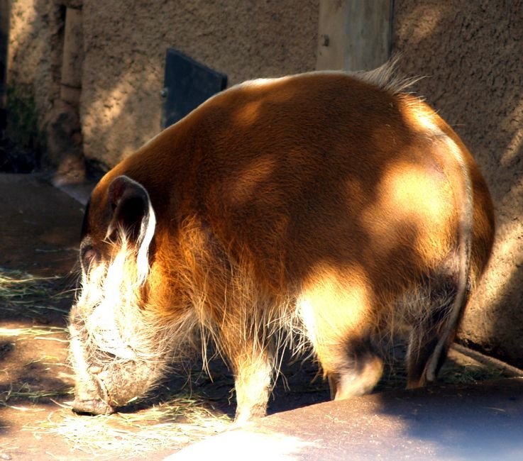 photo13.jpg
