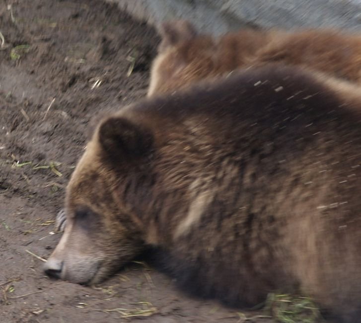 photo20.jpg
