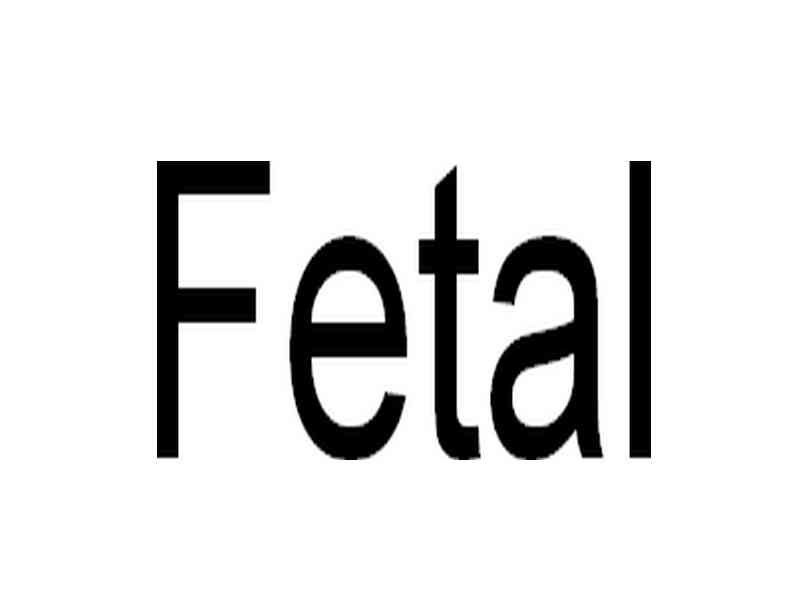fetal.jpg