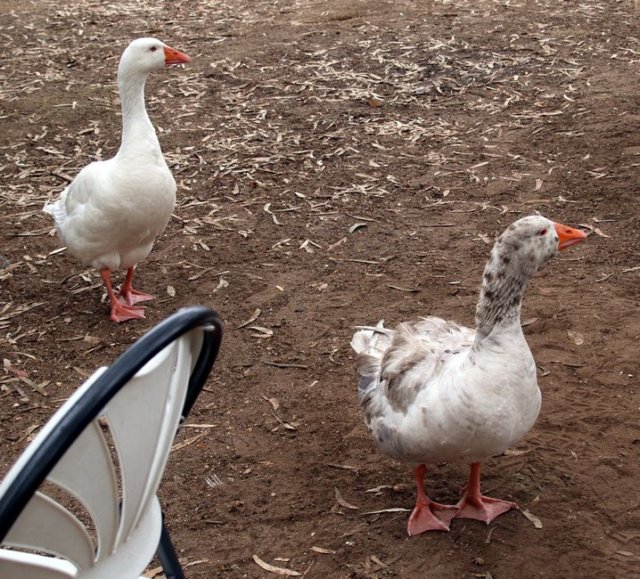 photo9.jpg