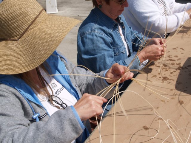 photo44.jpg