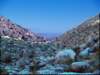 _1318066_small.jpg