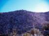 _1318073_small.jpg