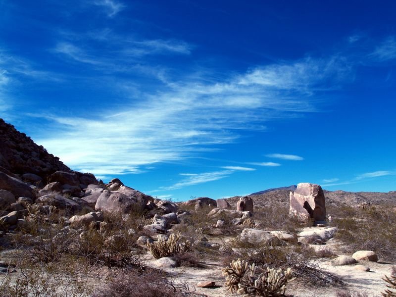 photo22.jpg