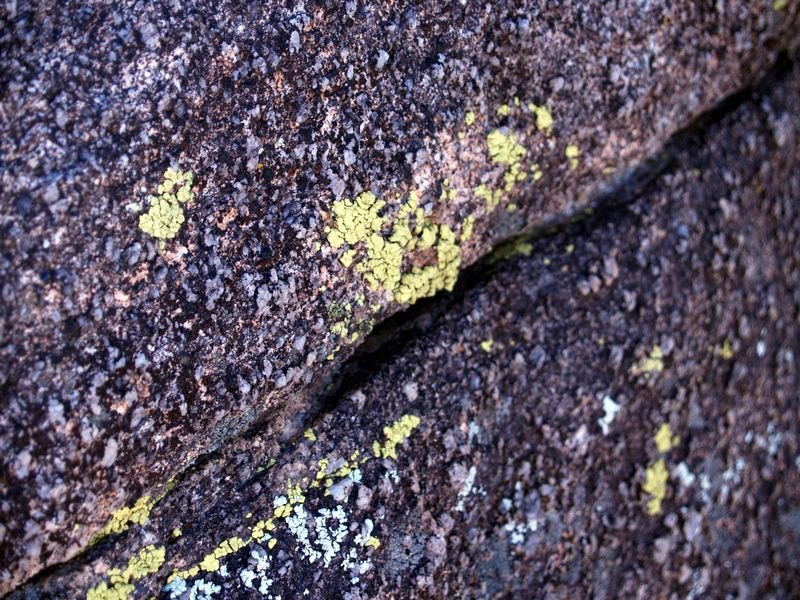 photo33.jpg