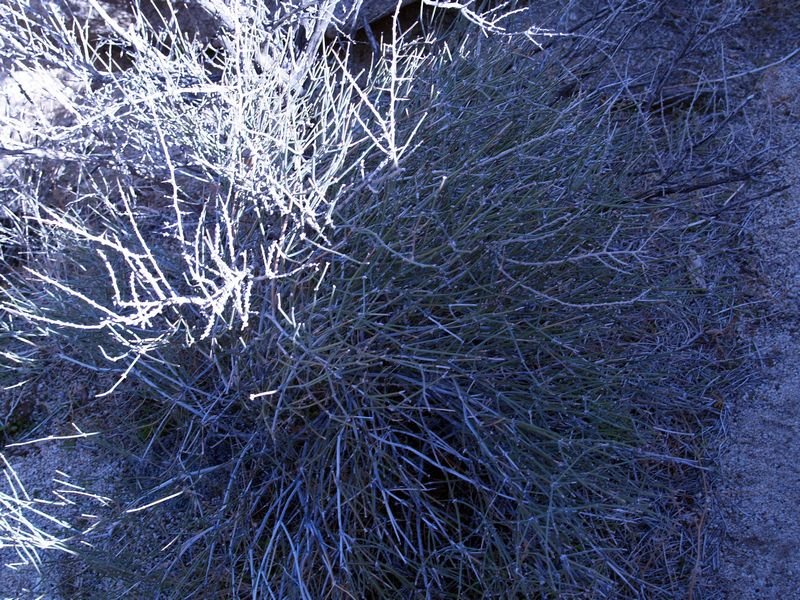 photo37.jpg