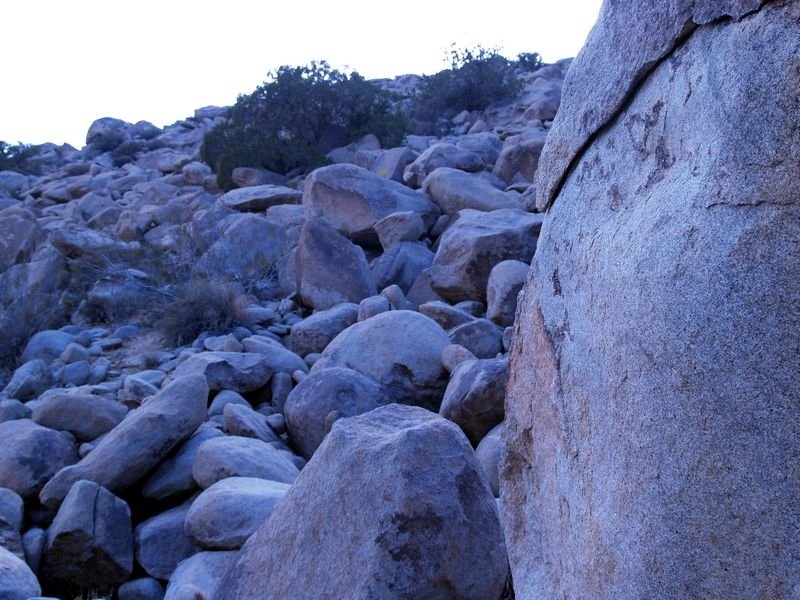 photo67.jpg