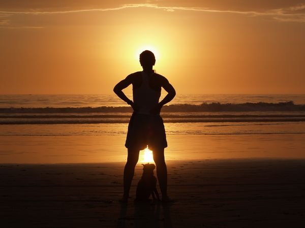 daylewebberherdogsimbaandthesunsetonsanelijobeachincardiffbytheseacalifornia3.jpg