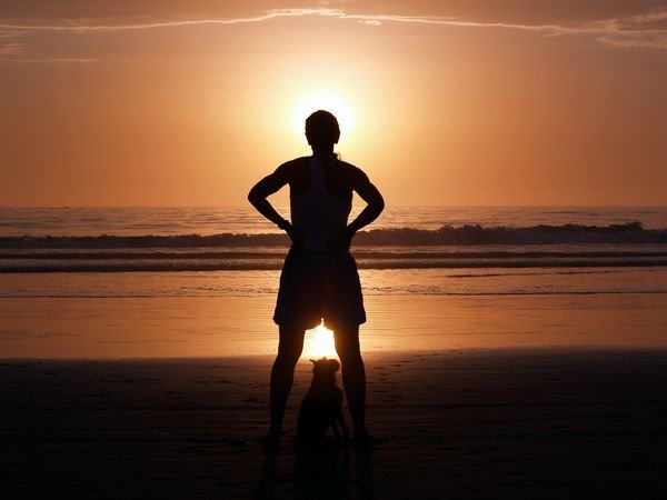 daylewebberherdogsimbaandthesunsetonsanelijobeachincardiffbytheseacalifornia4.jpg
