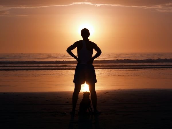 daylewebberherdogsimbaandthesunsetonsanelijobeachincardiffbytheseacalifornia6.jpg