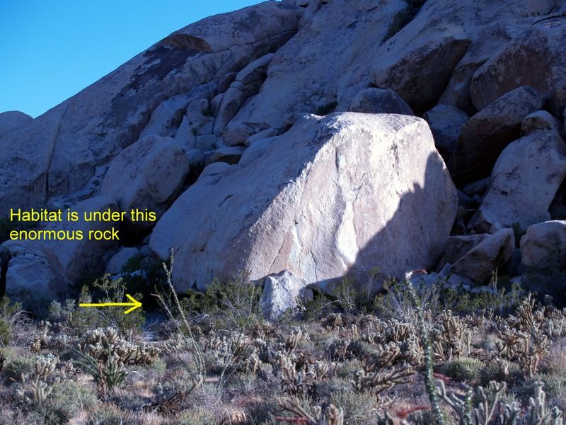habitat.jpg