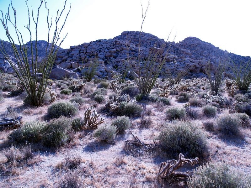 photo74.jpg