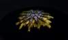 a257911_small.jpg