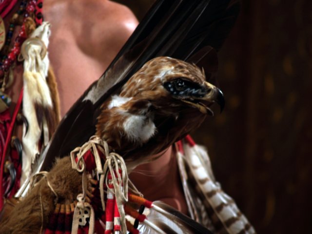 photo4.jpg