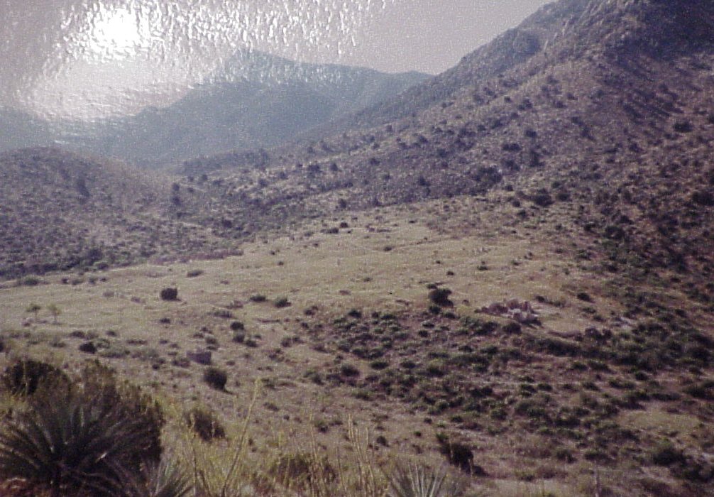 apass7151862.jpg
