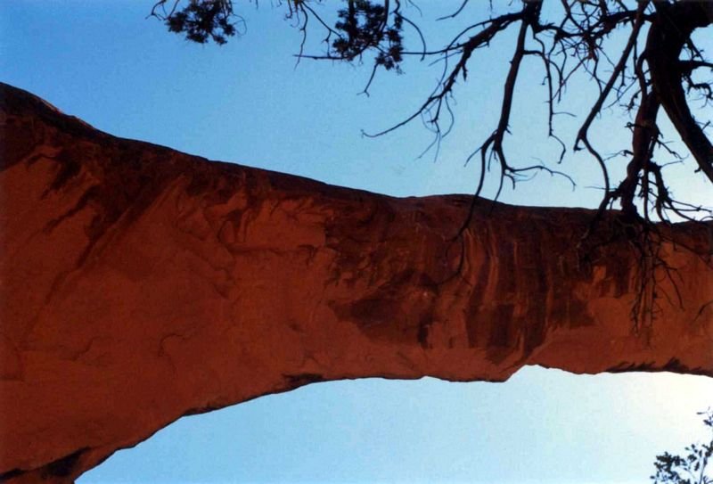 _landscapeunder800.jpg