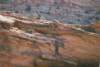 _roadmoabtopotashcoloriver800_small.jpg