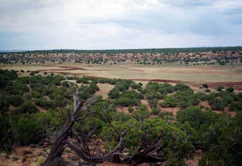 myplacea1994a_213800.jpg