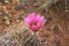 myplacea1_224_8002_small.jpg