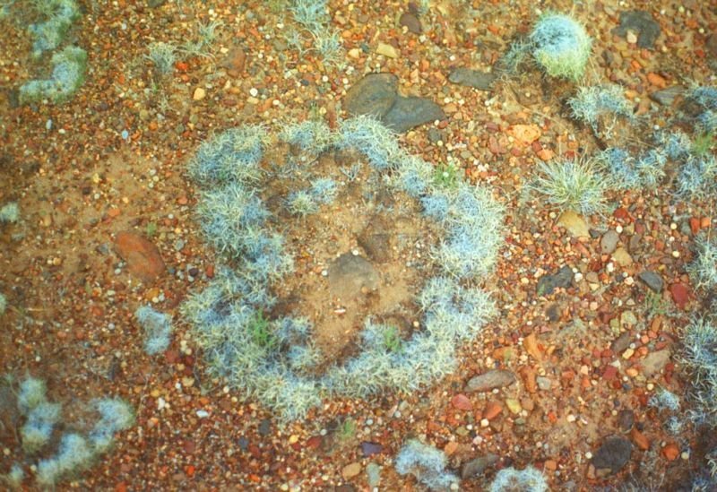 myplaceb1994a_213800.jpg