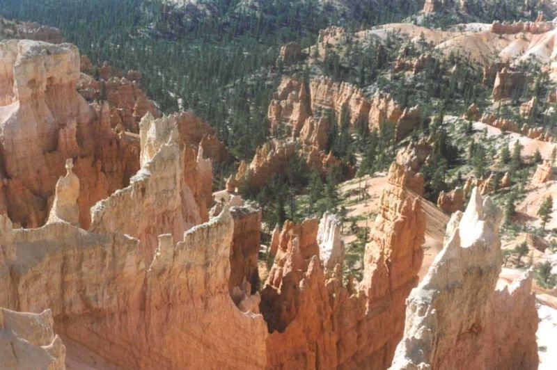 bryce1992d003a800.jpg