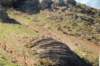 coronados_213b1_small.jpg