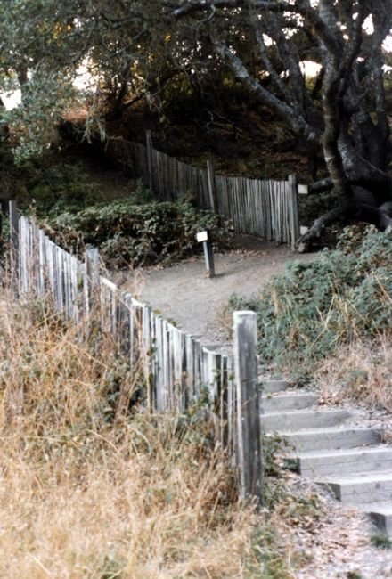 fenceoffsetby1906sanfranciscoearthquake.jpg