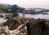 montereyb1999_041a800_small.jpg