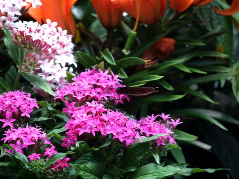 photo9.jpg