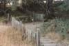 prcaliforniab1018004_small.jpg