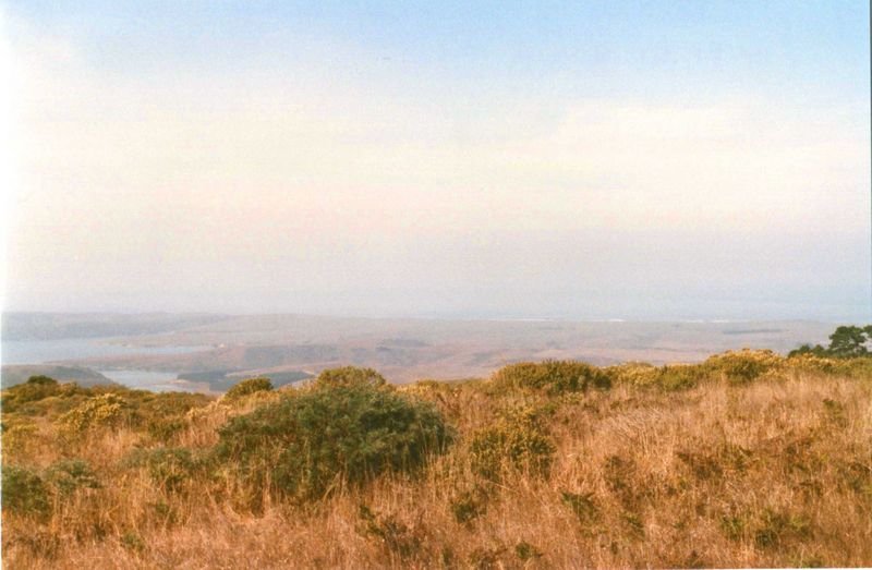ptreyespano1988_188c2.jpg