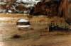 chellyb075f_800_small.jpg