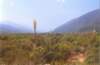 devilspunchbowla1_1908003_small.jpg