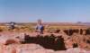 goosenecksa1_147_8001_small.jpg