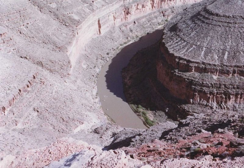 goosenecksc146800.jpg