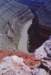 goosenecksd1_148_800_small.jpg