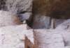 mesaverde1992b_102800_small.jpg
