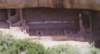 mesaverde1992c1_105800_filtered_small.jpg